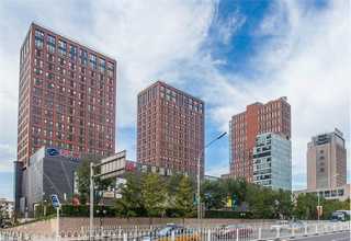 临沂PP塑料瓦楞板刀卡