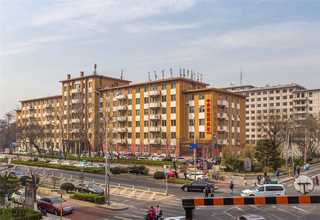 南京餐厅植物出租送货上门