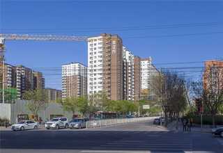 盐田区室外无土栽培有哪些