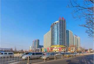 二七区链条输送机市场报价